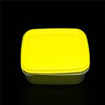 Food Preservation 14*14*6cm Microwavable Plastic Crisper