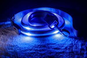China 4Ft &amp; 6 Ft &amp;Water Resistant LED Dog Leash - USB Rechargeable Flashing Light factory