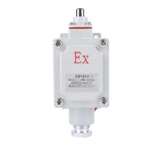 China Explosion Proof Limit Switch BXT-LX5 Series 1NO+1NC 5A factory