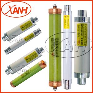 Bayonet Assembly Current Limit Fuse