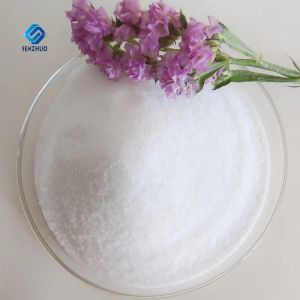 China Nutritional Supplements Sodium Alginate CAS 9005-38-3 Food Thickener on sale