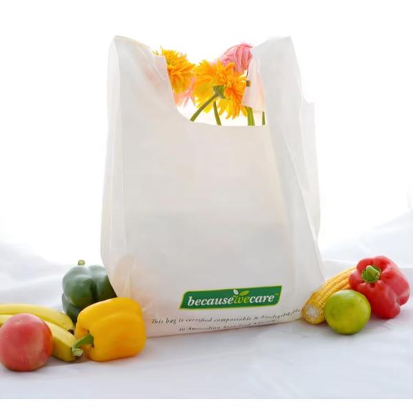 Flexiloop Handle Compostable Mailing Bags Easy to Carry and Environmentally