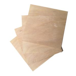 China 2mm Self Colored Sapele Faced Plywood Carb P2 For Decoration factory