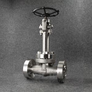 Cryogenic Forged Steel Gate Valve Extended Bonnet LNG