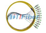 Ribbon Single Mode Fiber Pigtails With FC Fiber Optic Connector
