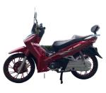 110cc cheap Chinese Super electric Mini cub OEM eec EPA adult new mini Haoju