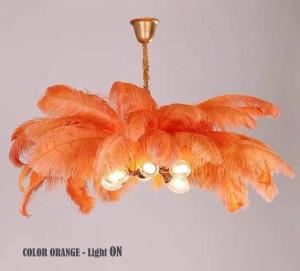 China G9 Light Source Hanging OEM Ostrich Feather Ceiling Pendant factory