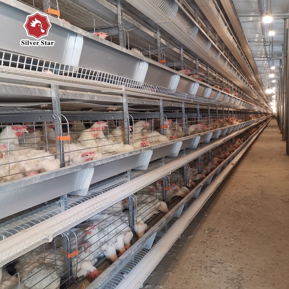Husbandry Equipment Poultry Battery Cage Layer Chicken Animal A Type Q235