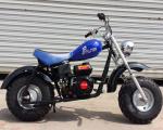 196cc Hand Start Dirt Bike Motorcycle 4 Stroke Auto Gearing Front Drum Brake Air