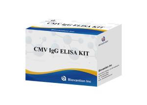 China For Laboratory Or Hospital High Accuracy IgG Antibodies To Cytomegalovirus Elisa Test Kit factory