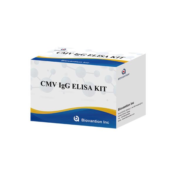China Laboratory Or Hospital High Accuracy CMV IgG ELISA TEST KIT Elisa Test Kit factory