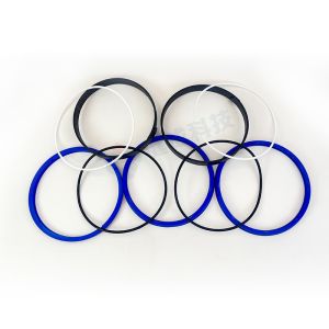 Zoomlion Concrete Pump Seal Kit Abrasion Resistant For Upper Housing Seals