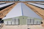 Modular Steel Structure Chicken House Broiler House Farm Shed Poultry Building