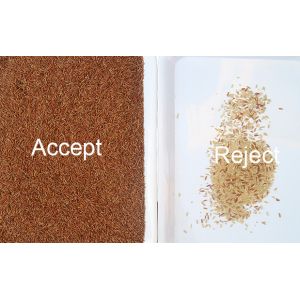 Basmati Rice Processing Machine For Rice Millet Sesame 3 Chutes