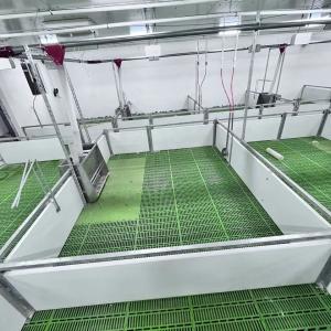 China Stainless Steel 304 Livestock Farming Milk Feeder Easy To Clean Low Maintenance factory