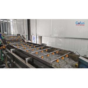 Citrus Processing Line Juice Extraction And Sterilization System Tropical Fruit
