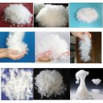 Home TextilesHealthy Feather and Down Pillows