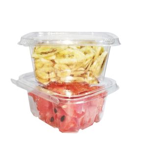 China China Supplier Tamper-Resistant Clear Hinged Container with Flat Lid factory
