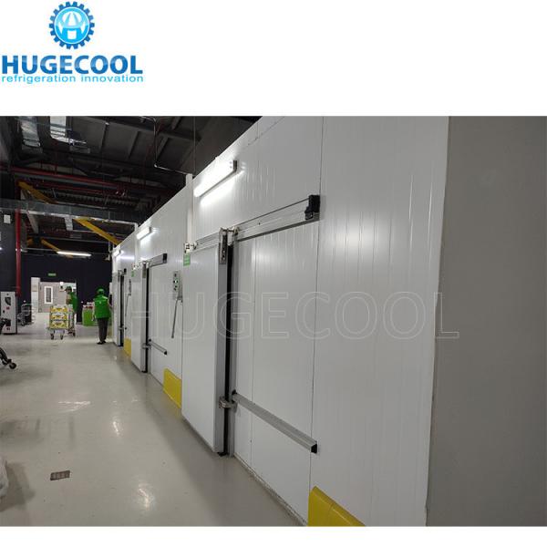 220V/380V/440V Piston Compressor Walk-in Cold Room for Temporary Storage of