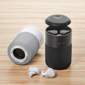 China BT 5.1 Wireless Earbuds And Speaker Set 2 In 1 TWS 9d Bass Sound factory