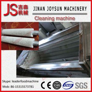 China Cashew cleaning equipment peanut washing machine easy operation on sale