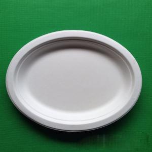 China Medium size biodegradable fish dish sugarcane BBQ fish plate for picnic factory