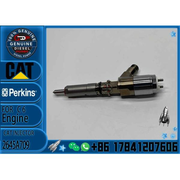 2645A709 C6.6 common rail injector 321-0990 321-3600 320-0677 320-0690 10R-7668 10R-7938 10R-7939 321-0990