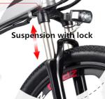 E-bicycle 26 Inch 48V 250W 350W Electric Mountain Bike With Integrated Wheel 10
