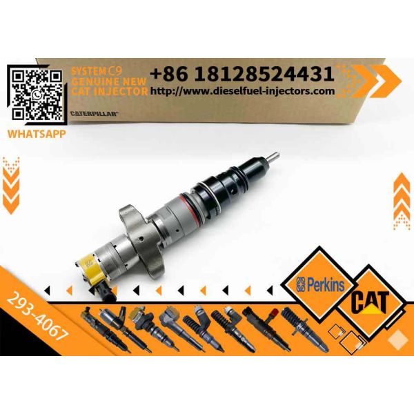 C9 Fuel Injector Assy 387-9433 328-2574 328-2573 293-4067 245-3517 10R7224 20R-8968 for CAT E336D Excavator Nozzle