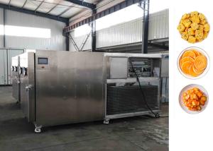 China Electric Heating Vacuum Freeze Drying Machine Low Noise Level factory