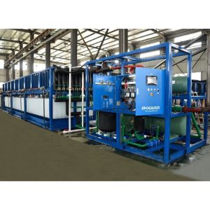 30 Tonnes Daily Capacity Ice Block Machine Bitzer Compressor and Automatic Operation