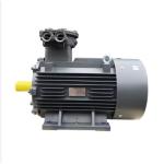 Factory AC Three Phase Induction Asynchronous Electric Motorcycle