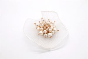 China Eco - Friendly Shoe Lace Flowers Luxury Designs Decoration Accessories factory
