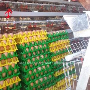 China Layer Cage Automatic Poultry Farming Cage System Popular High Quality Egg Layer Cages Rose factory