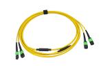 24core Mtp Mpo Fiber Patch Cable 3.0mm Single Jacket Or 4.6mm Double Jacket