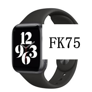 China HL75 SmartWatch 160mAh Battery Full Touch Heart Rate Information Reminder factory