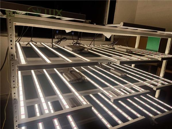 Spydr led greenhouse lights UL8800 Meanwell 330watt Horticultural LED Vertical