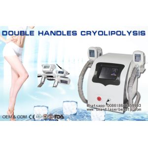China Portable Cryolipolysis Slimming Machine With Double Handles factory