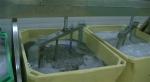 Stainless Steel Mix Meat Machine Wear Resistant Stable For Stirring