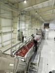 380V SUS 304 Apple Juice Processing Line For Food Industries