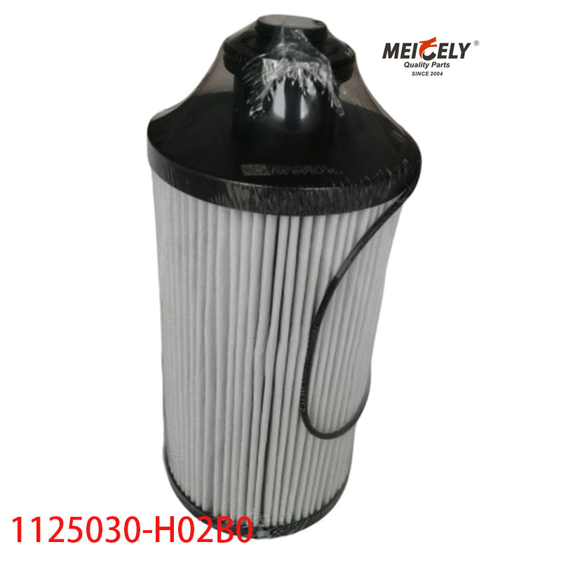 1125030-H02B0 Truck Parts Fuel Filter For Dongfeng Tianlong