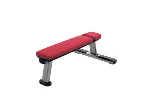 China Professional Commercial Gym Rack And Bench , Weight Lifting Dumbbell Flat Bench factory