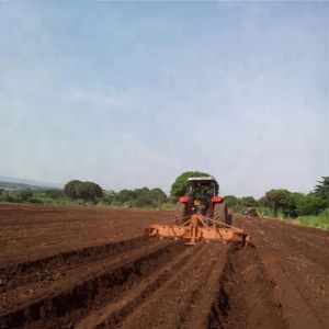 Tractor Mounted 8Ha/Day Cassava Planter Machine 4 Rows Tractor Drawn Ridger