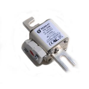 China Rail Transit Electric Vehicles Ship Electricity Ceramic Auto Fuses RS306 690V factory