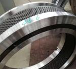 Stainless Steel Ring Die For Pellet Mill Machine Customized Color