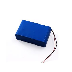 21.6V 5.2Ah Lithium Ion 6S2P 18650 Battery Pack Rechargeable Lithium Ion Battery