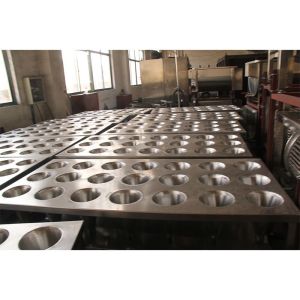 Chicken Duck Goose Bird Slaughterhouse Equipment with 304 Stainless Steel