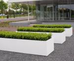 Wholesale Fiberglass Resin Flower Planters Modern Style FRP Plant Pots For Decor