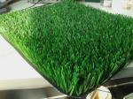 PP Synthetic / Clusters /Artificial Grass Lawn For Sports Leisure