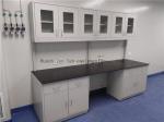 Professional Design 25.4 mm Phenolic Resin Board Steel Workbench Fume Cupboard
